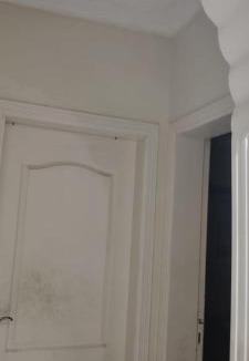 Dikirnis Apartment | Nakheel Home