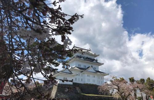 Odawara House | 花沢民宿