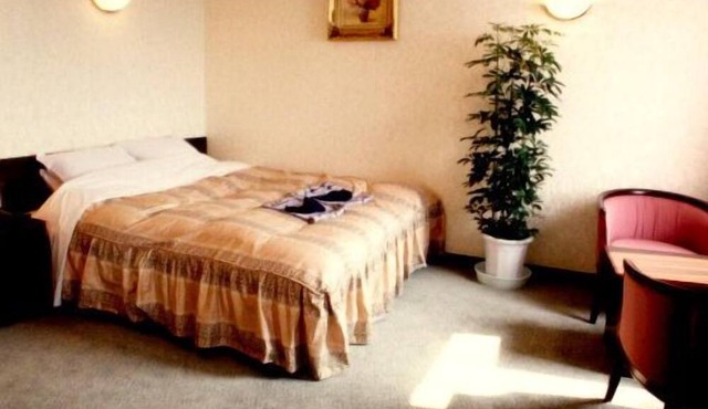 Business Hotel Del Sol in Utsunomiya