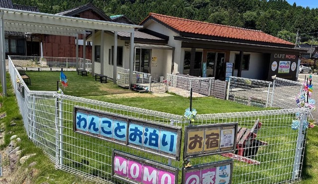 Momo House Dog-friendly Stay