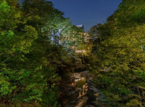 Hotel Miyama