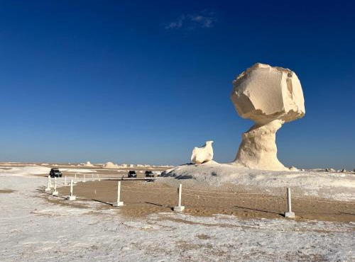 White Desert Experience